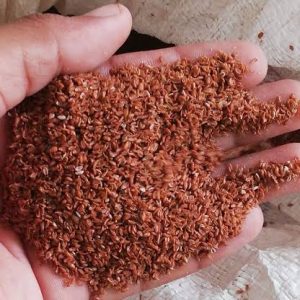 Ispaghol Gulli (Psyllium Husk Granules)